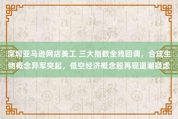 深圳亚马逊网店美工 三大指数全线回调，合成生物概念异军突起，低空经济概念股再现退潮疑虑