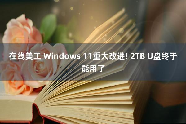 在线美工 Windows 11重大改进! 2TB U盘终于能用了