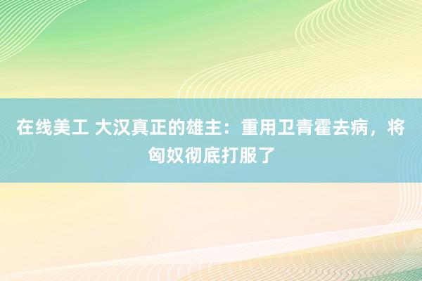 在线美工 大汉真正的雄主：重用卫青霍去病，将匈奴彻底打服了