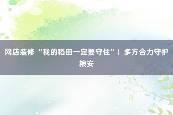 网店装修 “我的稻田一定要守住”！多方合力守护粮安