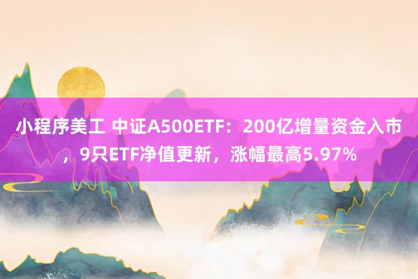 小程序美工 中证A500ETF：200亿增量资金入市，9只ETF净值更新，涨幅最高5.97%