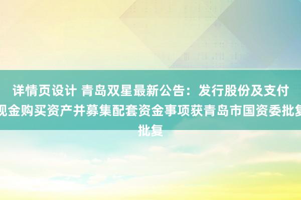 详情页设计 青岛双星最新公告：发行股份及支付现金购买资产并募集配套资金事项获青岛市国资委批复